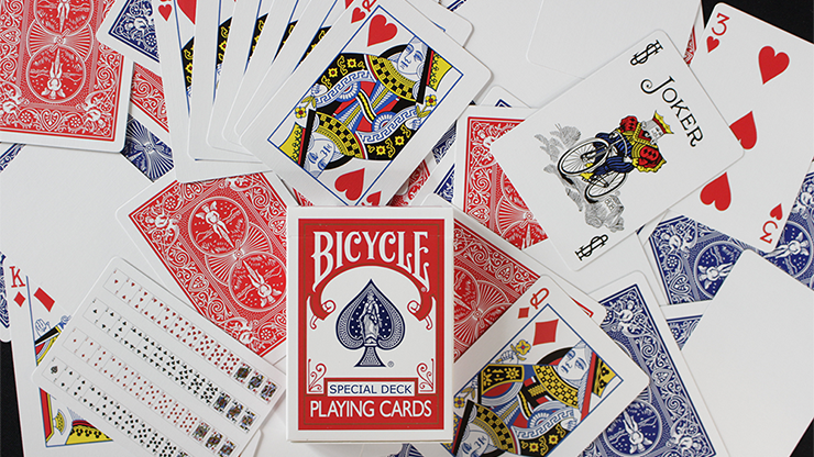 Bicycle Playing Cards Double Blank Brand New Gaff Deck 