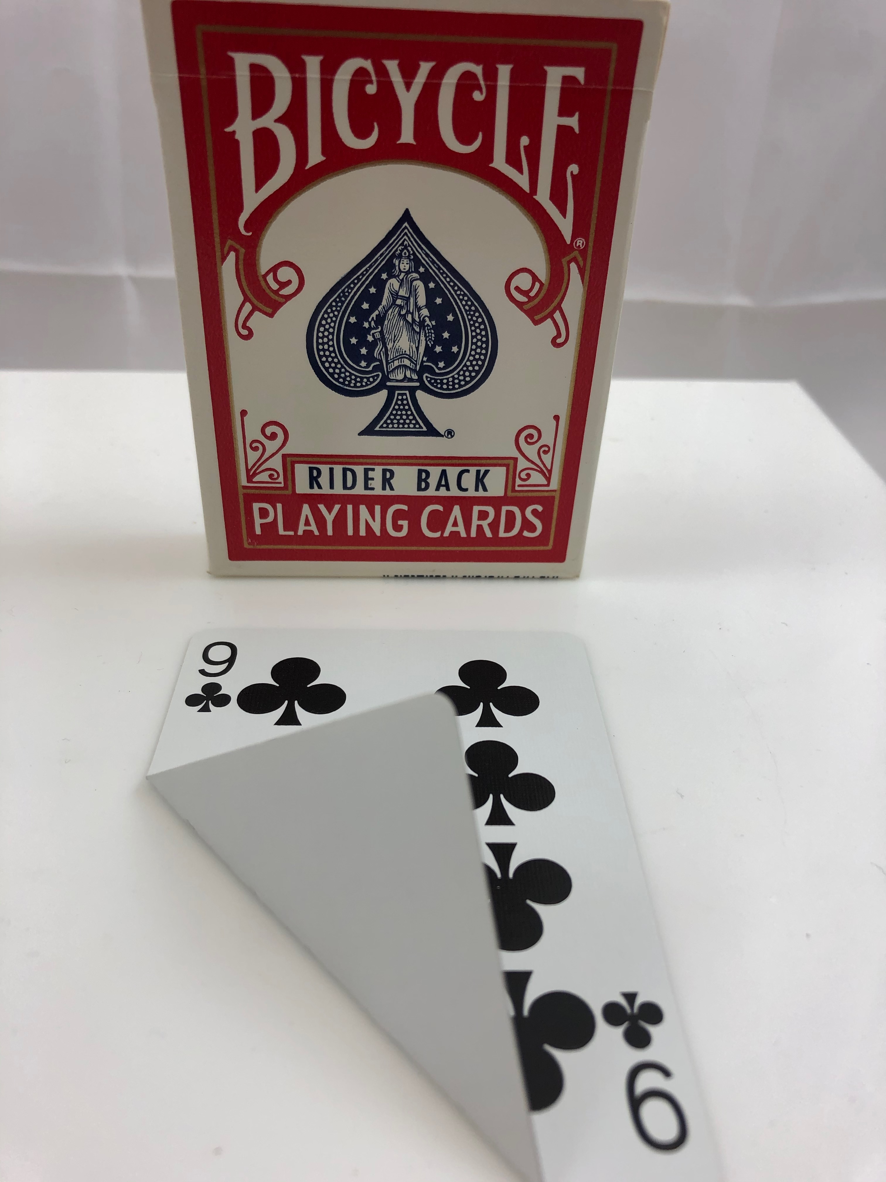 Bicycle Brand Blank Playing Card Deck