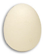 The Egg (foam)