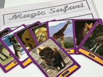 Magic Safari Cards