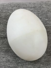 Plastic Egg
