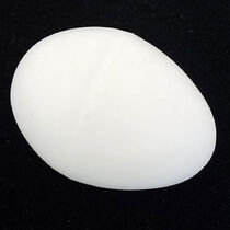 Egg Hollow Plastic