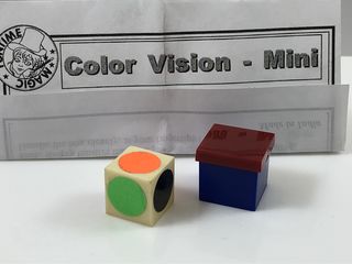 Color Vision Mini with Instructions.jpeg