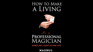 HowToMakeALivingAsAProMagician.Book.Magnus.png
