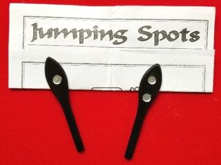 Jumping Spots .jpeg