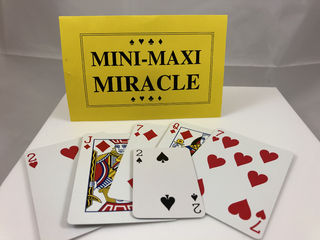 Mini Maxi Miracle.1.jpeg