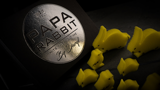 Papa Rabbit Hits the Big Time.box_props.png