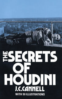 Secrets_Of_Houdini_book.jpeg